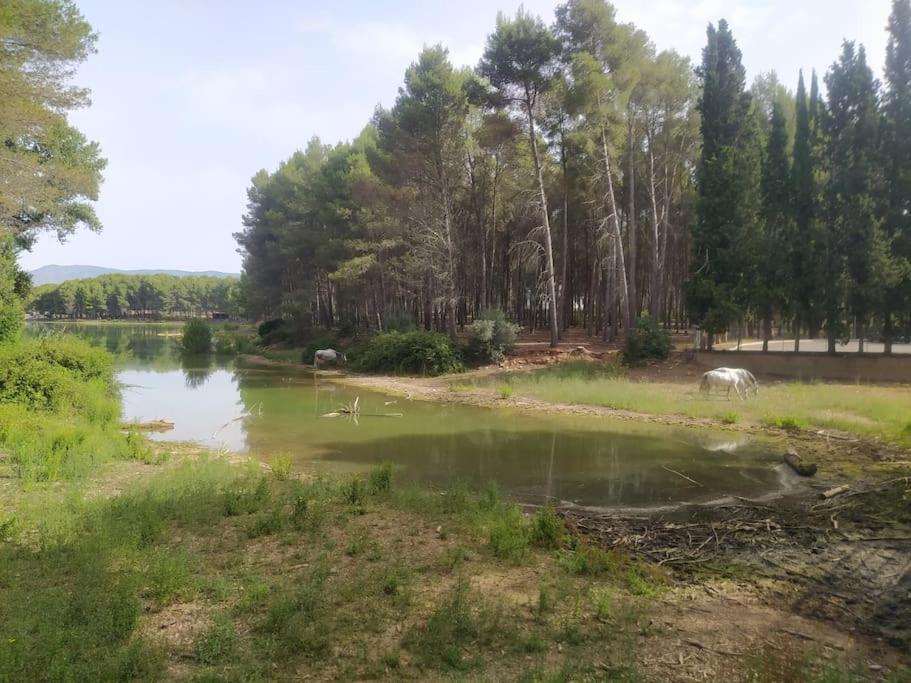 Вилла Casa Junto Al Lago Херика Экстерьер фото